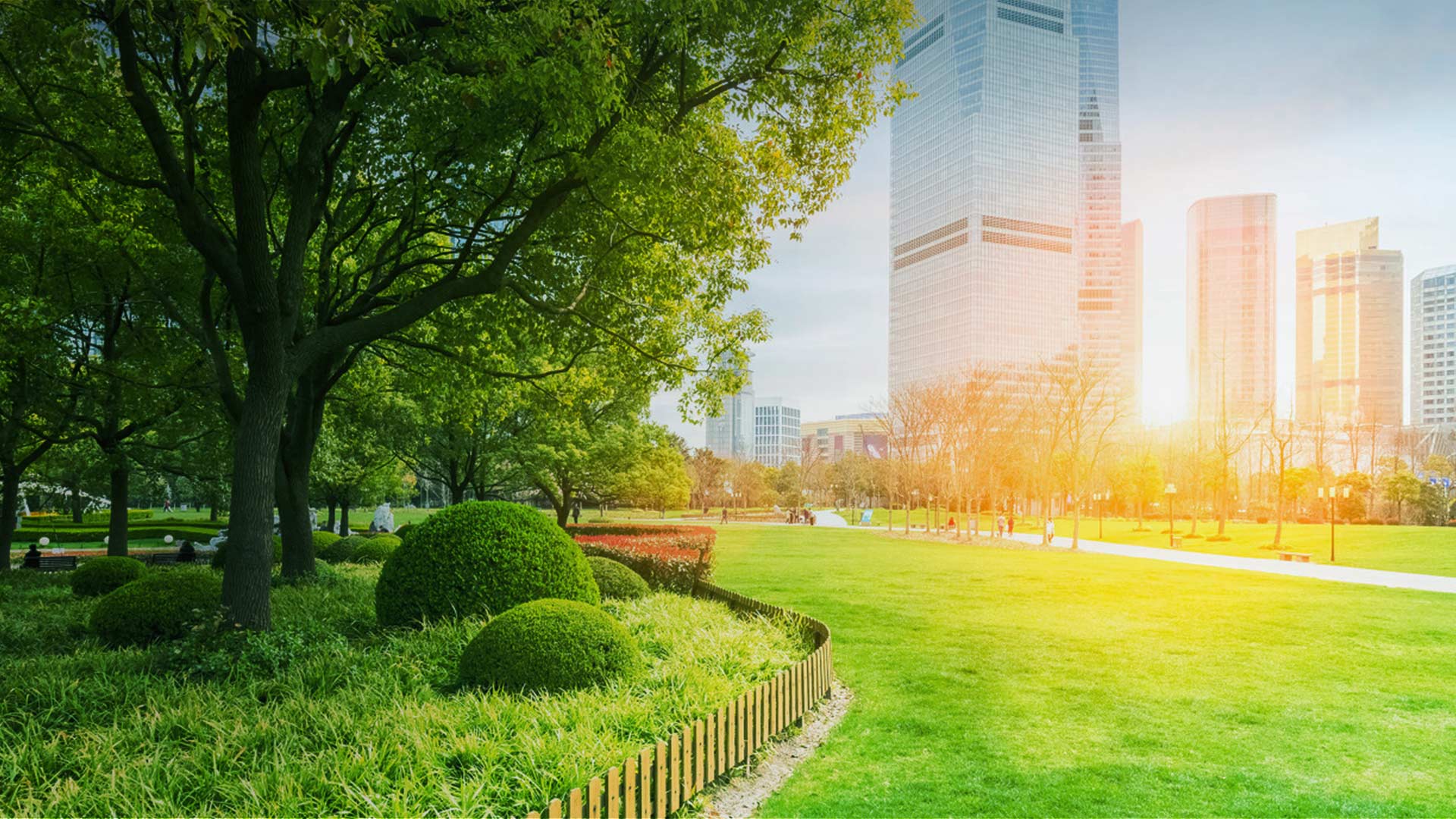 專業(yè)生產(chǎn)安裝電鍋爐23年